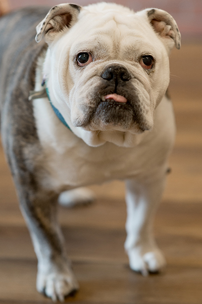 Showroom Greeter